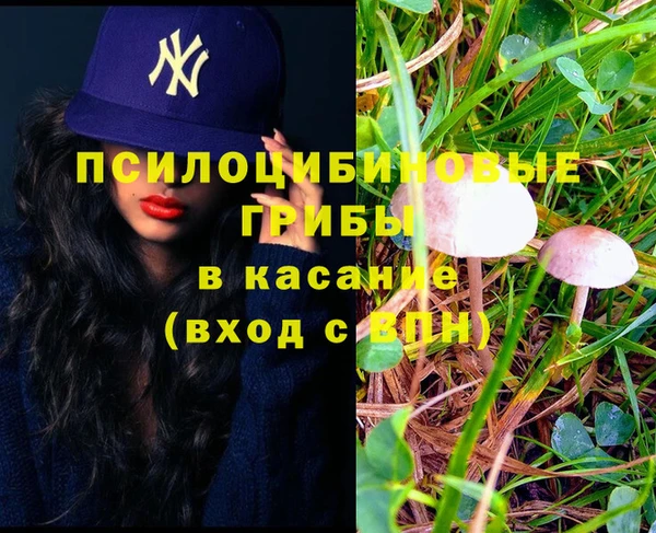 каннабис Абинск